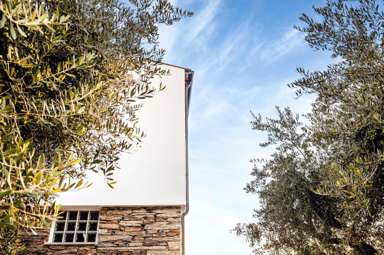 Casa Com Piscina No Coracao Do Douro - Domaine Casa Valenca, Βίλα Valença do Douro Εξωτερικό φωτογραφία