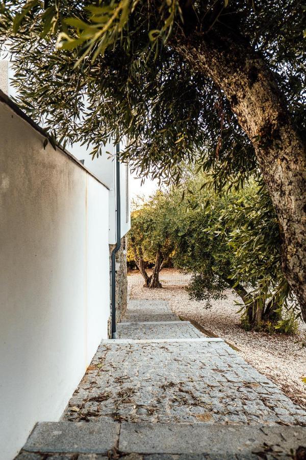 Casa Com Piscina No Coracao Do Douro - Domaine Casa Valenca, Βίλα Valença do Douro Εξωτερικό φωτογραφία
