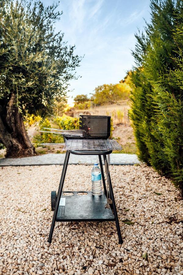 Casa Com Piscina No Coracao Do Douro - Domaine Casa Valenca, Βίλα Valença do Douro Εξωτερικό φωτογραφία