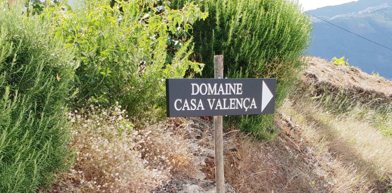 Casa Com Piscina No Coracao Do Douro - Domaine Casa Valenca, Βίλα Valença do Douro Εξωτερικό φωτογραφία